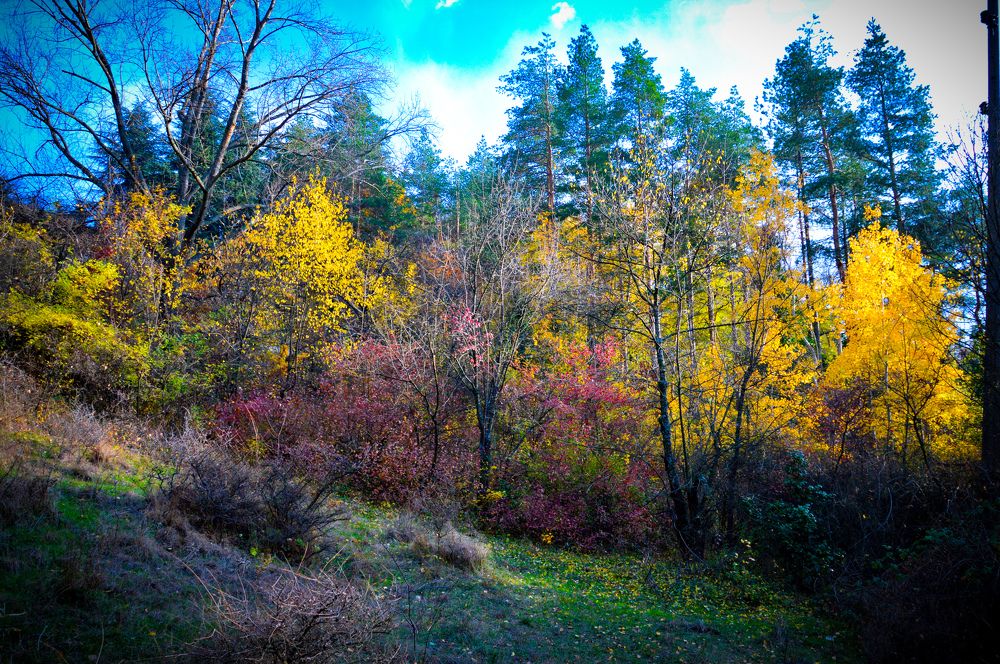 Photograph by Христо Колев