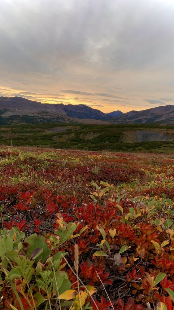 Photograph by Джамиля Ремизова