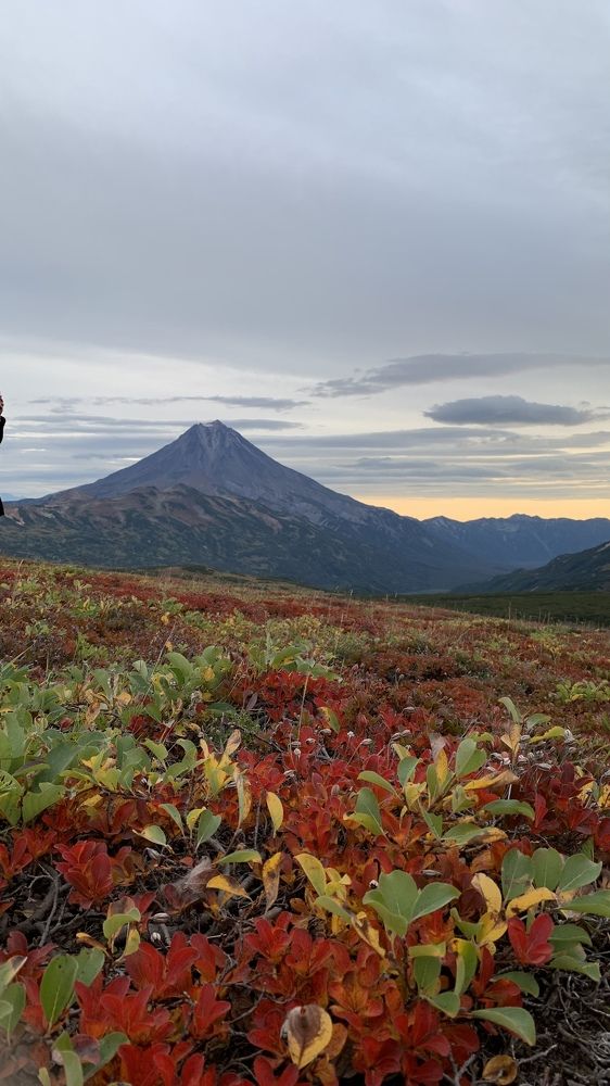 Photograph by Джамиля Ремизова