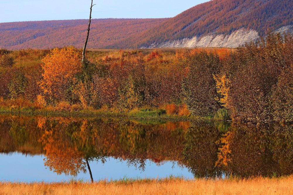 Photograph by Александр Велигура