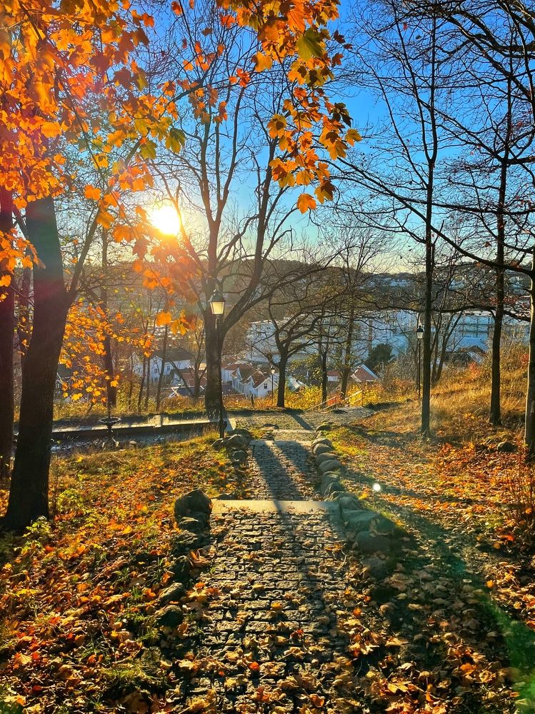 Photograph by Георгий Трофимов