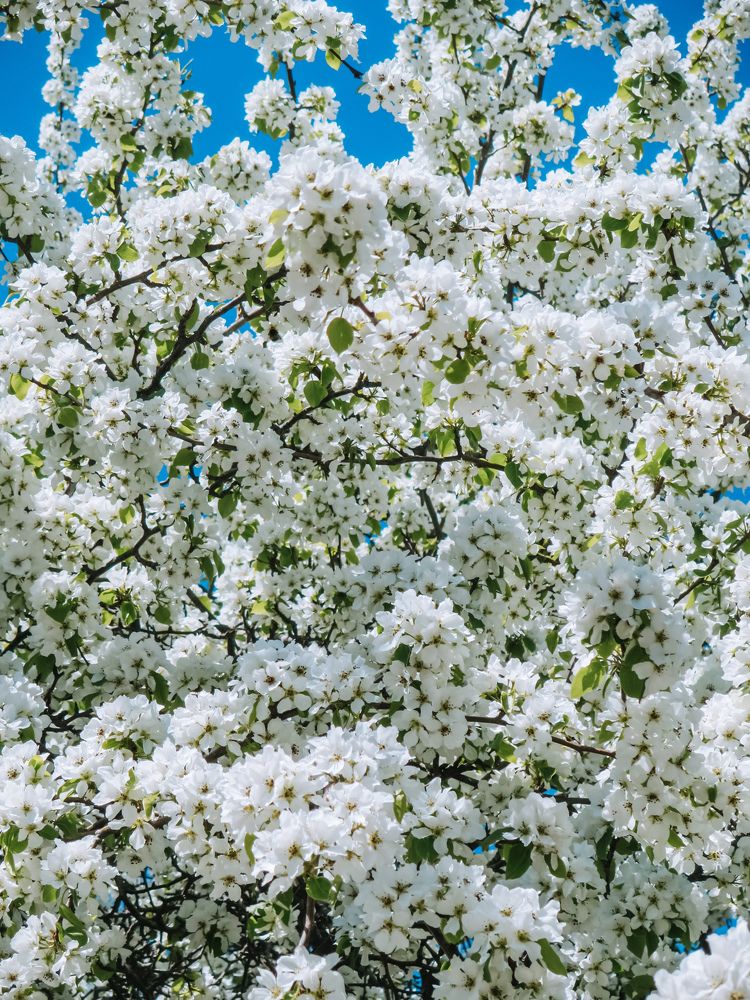 Photograph by Дарья Овсянникова