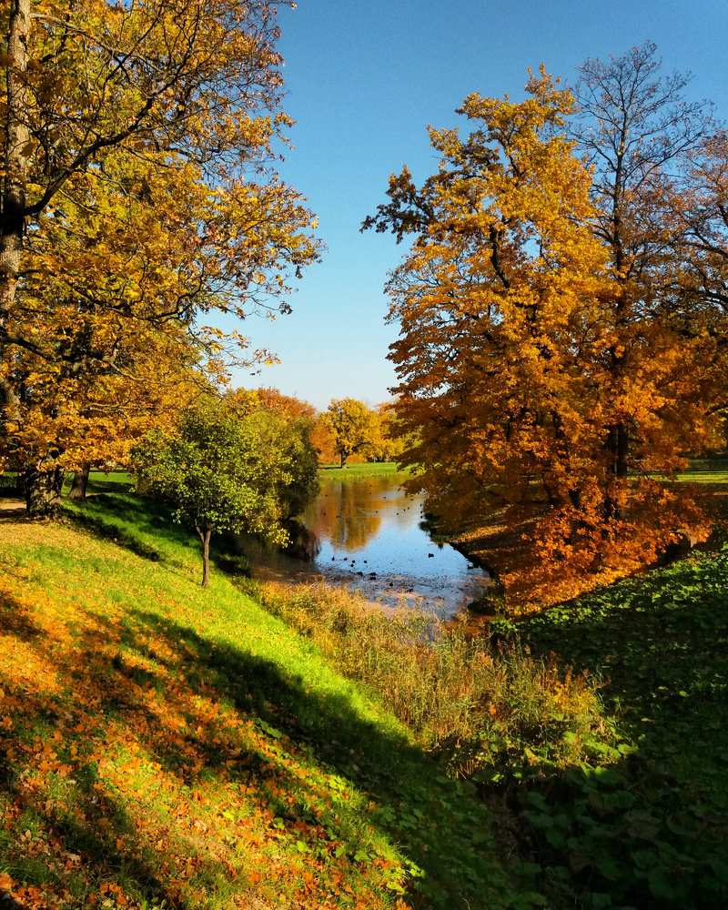Фотография автора Наталья Бруёк
