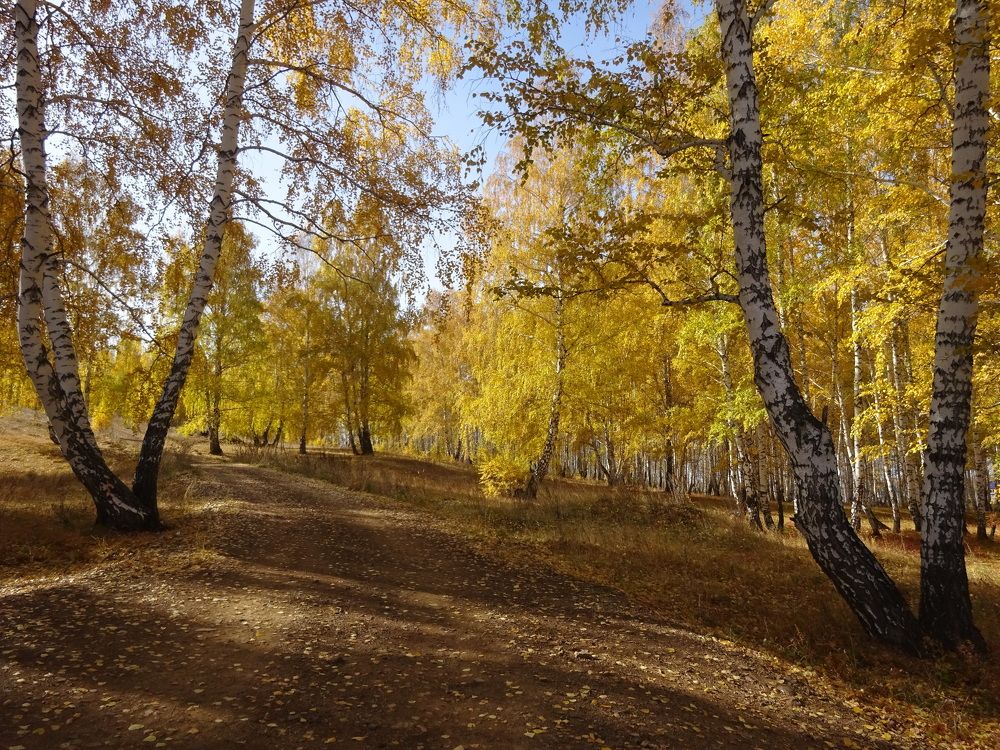 Photograph by Игнатова Марина