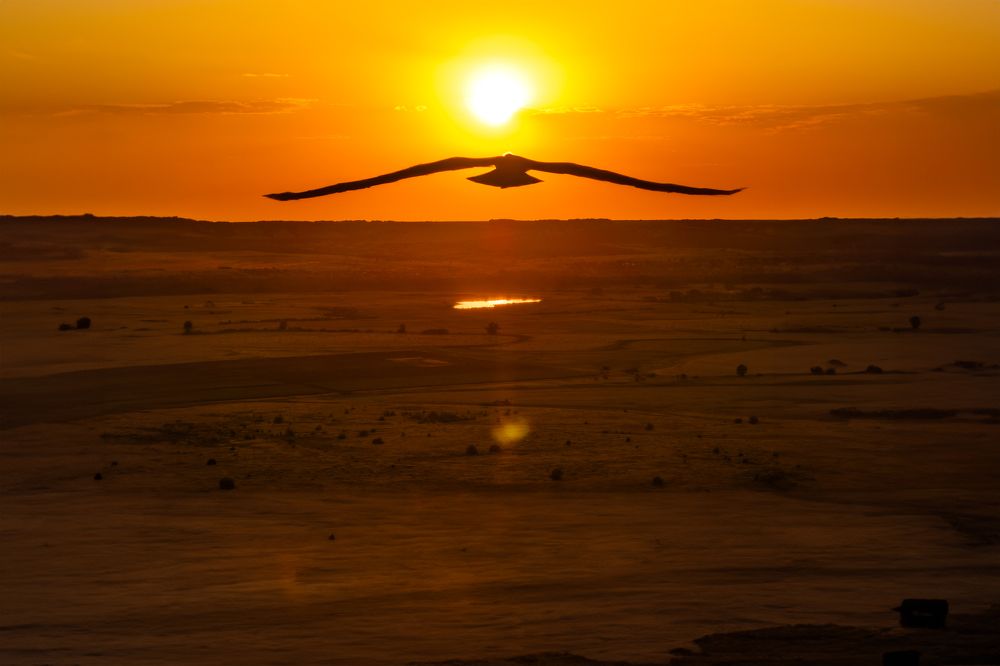 Photograph by Aleksey Mileshkin