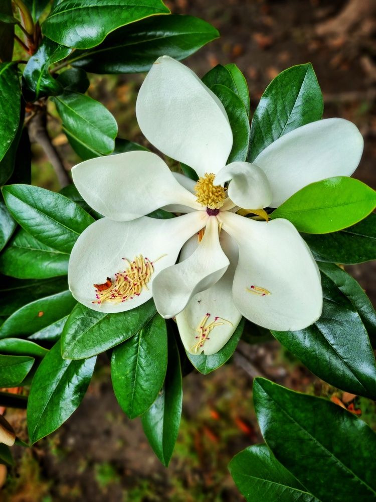 Photograph by Юлия Звонарева