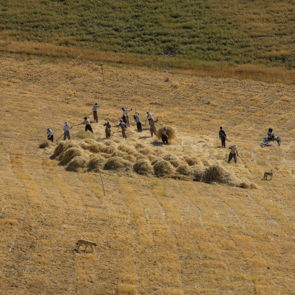 Фотография автора mohammad Alipour