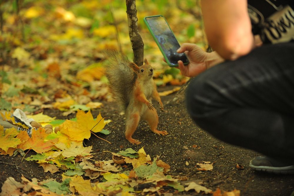 Photograph by 