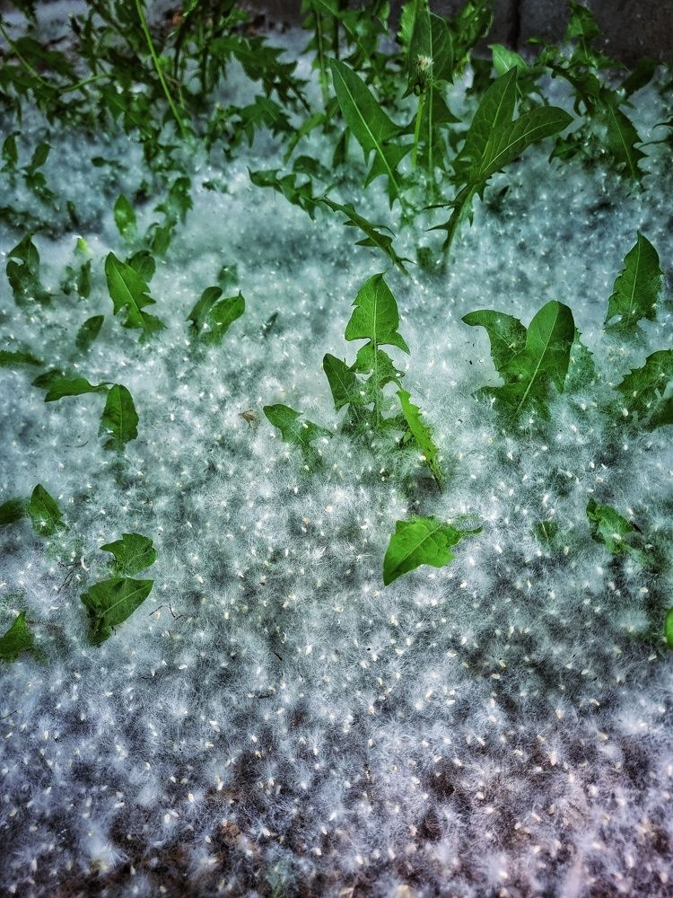 Photograph by Юлия Звонарева