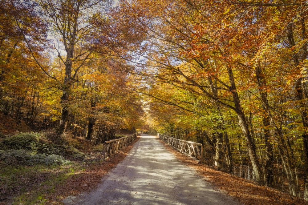 Atmosfere autunnali nel parco dei Nebrodi