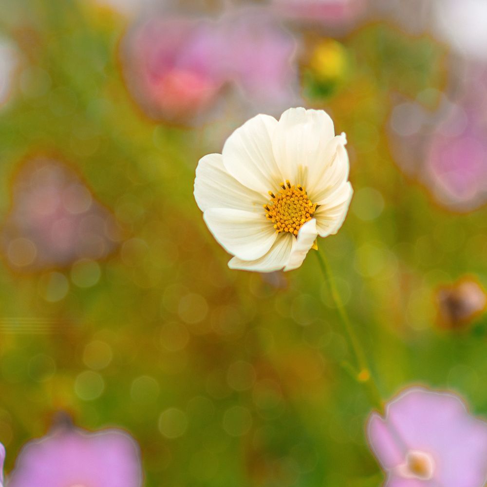 Photograph by Татьяна Биргулиева