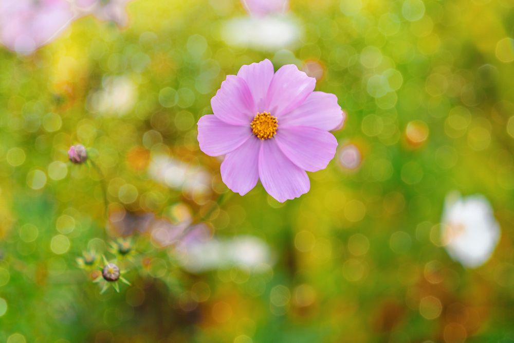 Photograph by Татьяна Биргулиева