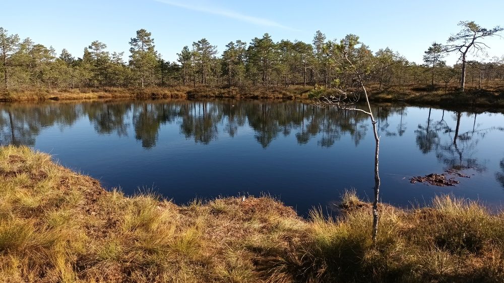 Photograph by Инна Демкив