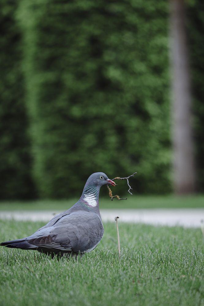 Фотография автора Илья Малеев