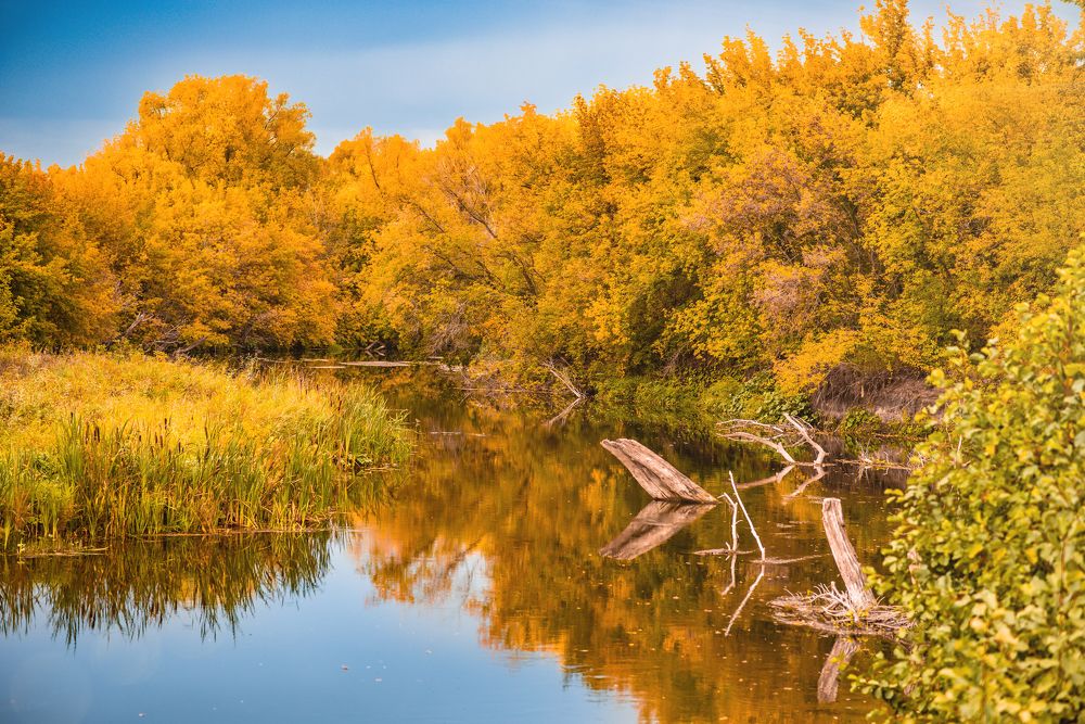 Photograph by Татьяна Биргулиева