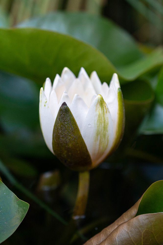 Photograph by Максим Жухлистов