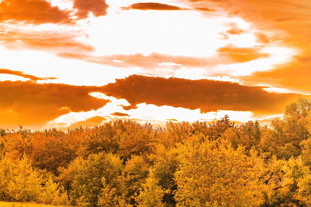 Photograph by Татьяна Биргулиева