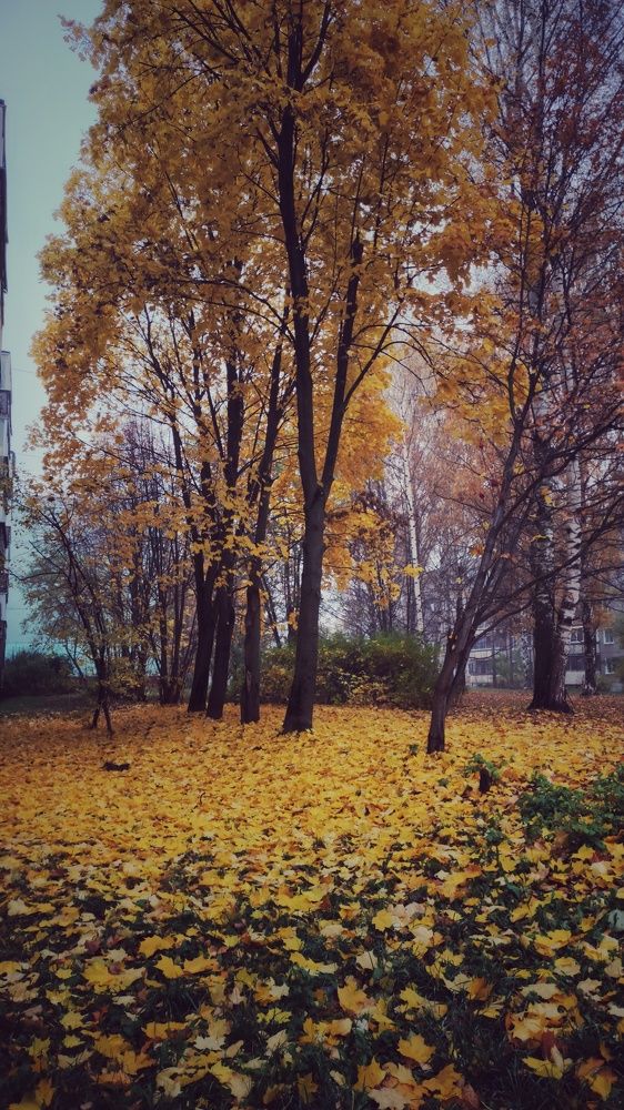 Photograph by Наталья Калюнова