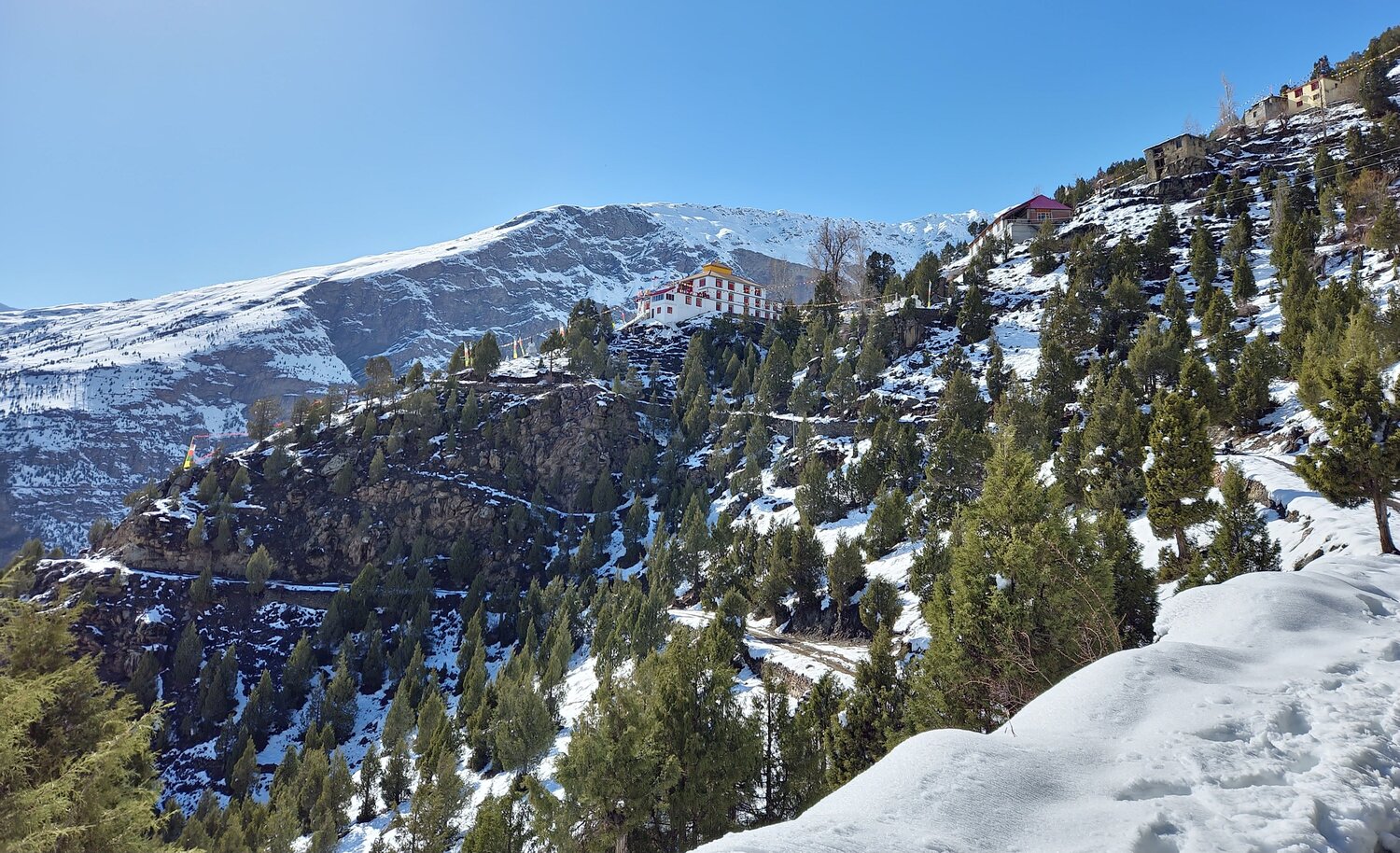 Photo #9572270