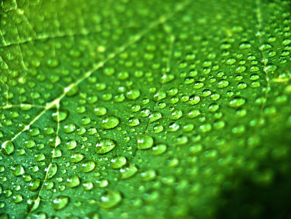 Photograph by Александр Кудрявцев