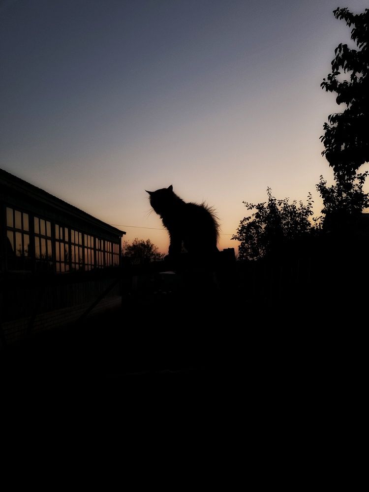 Photograph by Юлия Звонарева