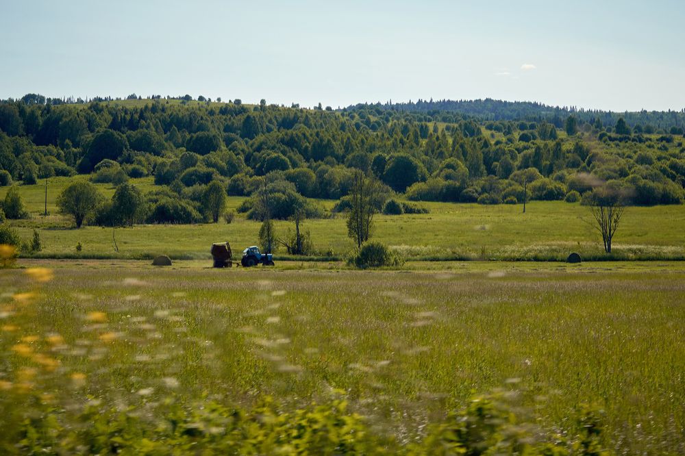 Photograph by Маргарита Гасец