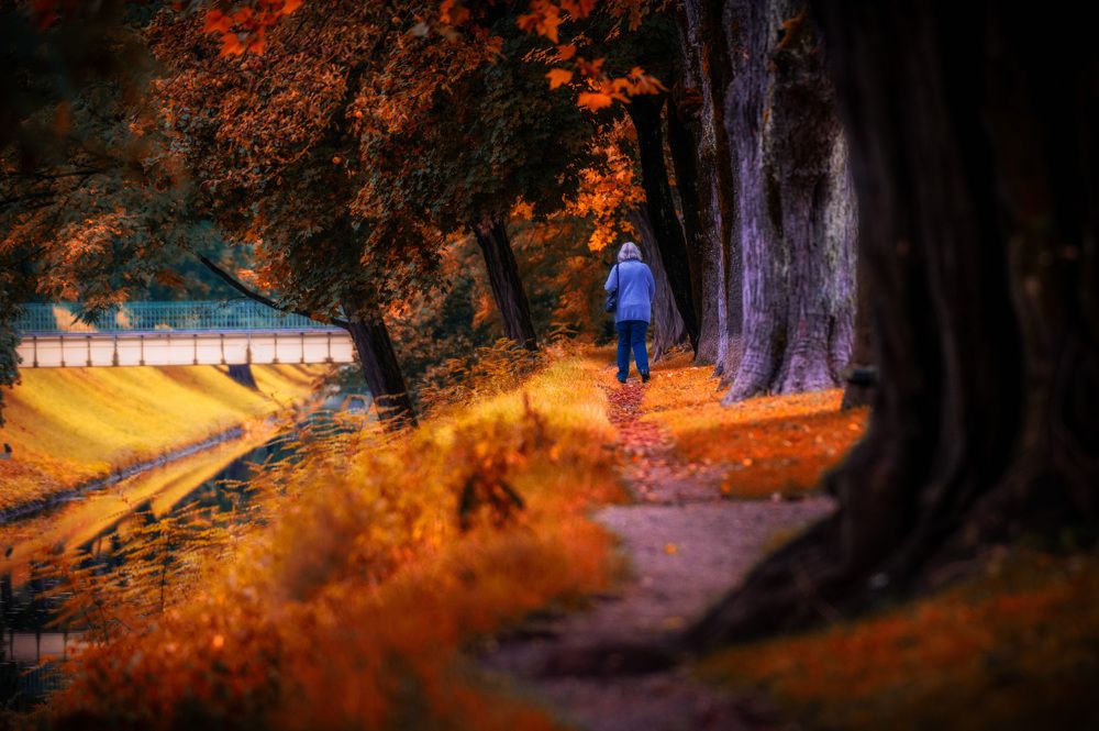 Фотография автора Liviu Ciprian Hiticas