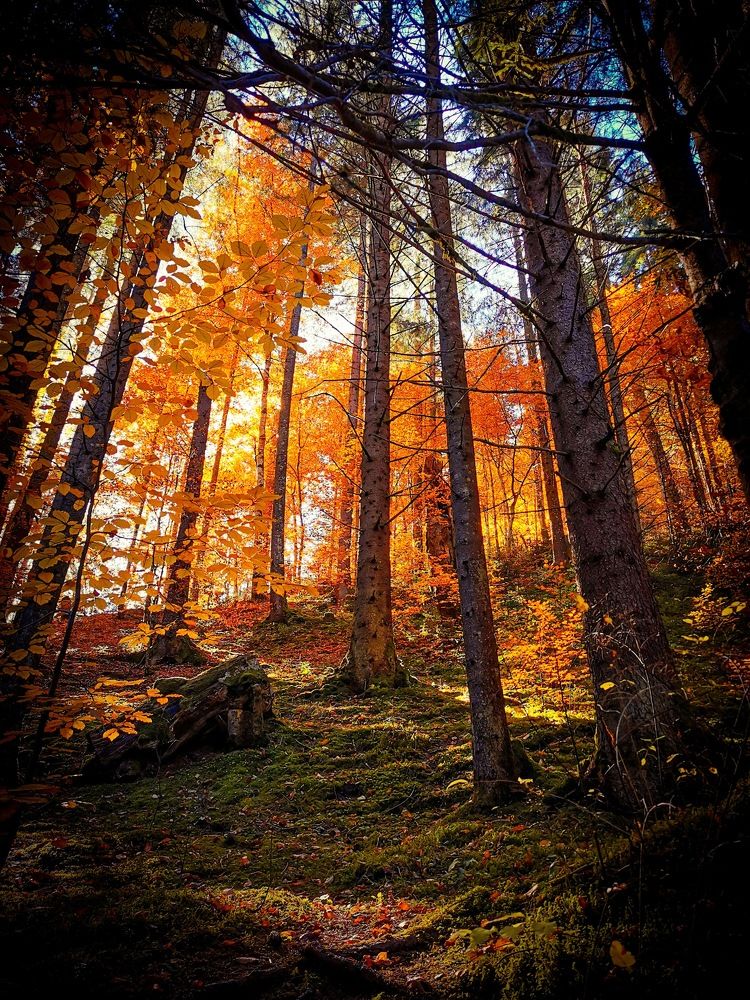 Фотография автора Ian Heard