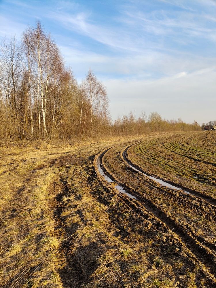 Photograph by Marina Green