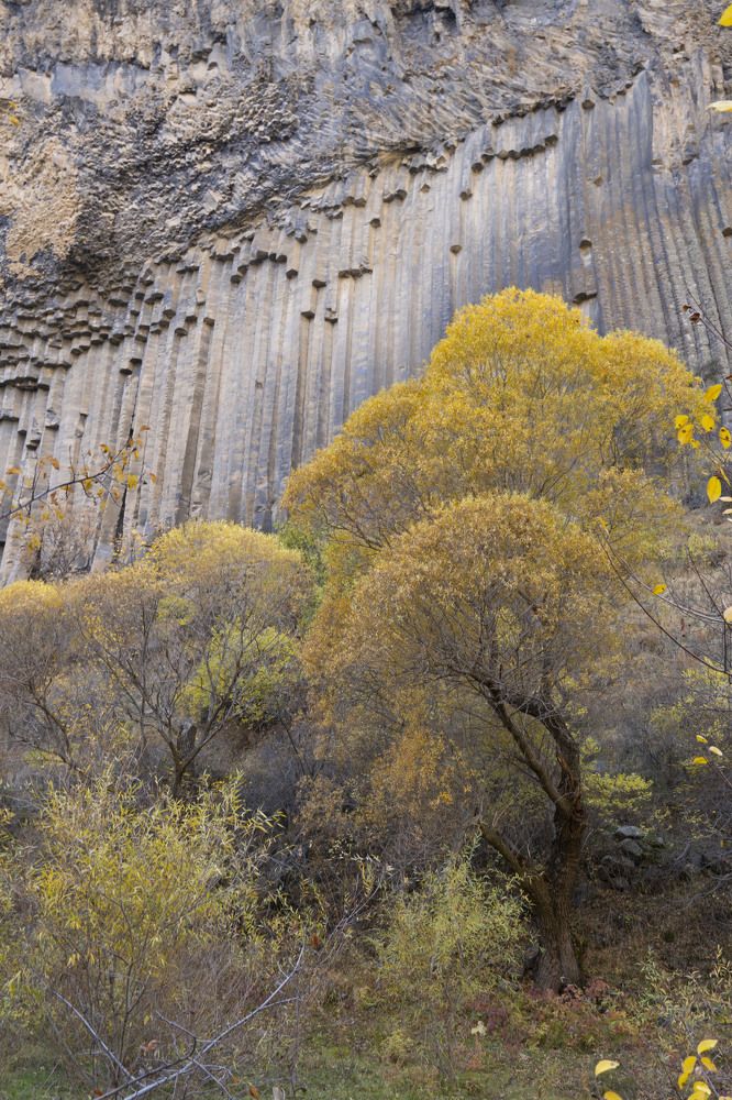Photograph by Евгения