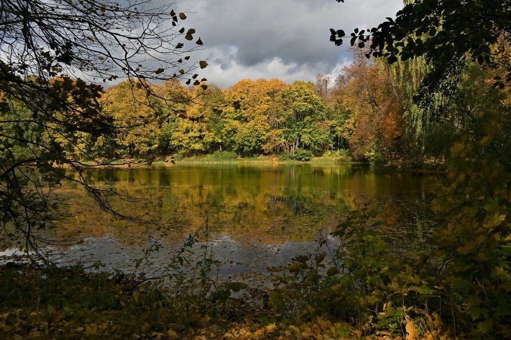 Фотография автора IRINA FILIPPOVA