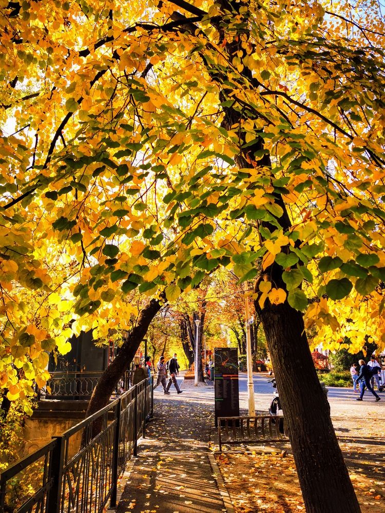 Фотография автора Ian Heard