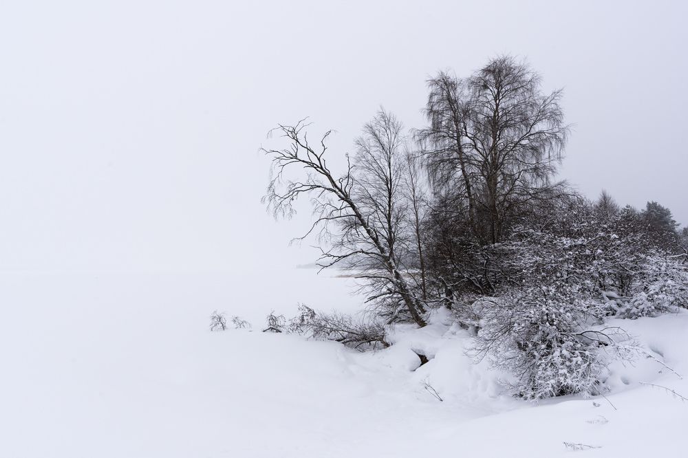 Photograph by Дмитрий Геращенко