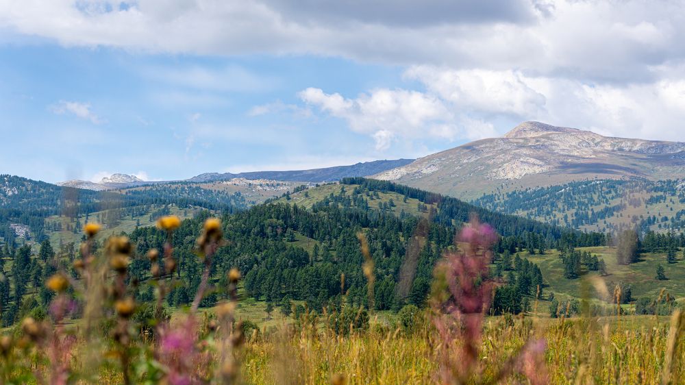 Фотография автора Руслан Токмагамбетов