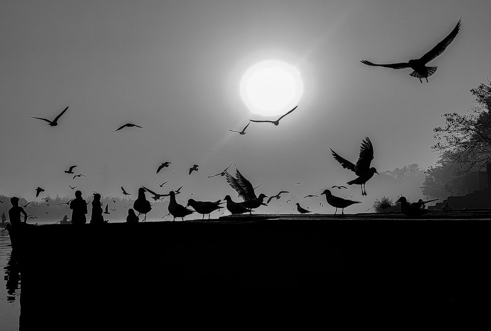 Photograph by HARSHIT MISHRA