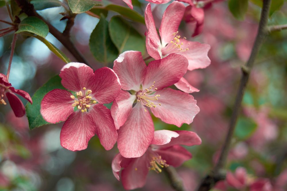 Photograph by Маргарита Гасец