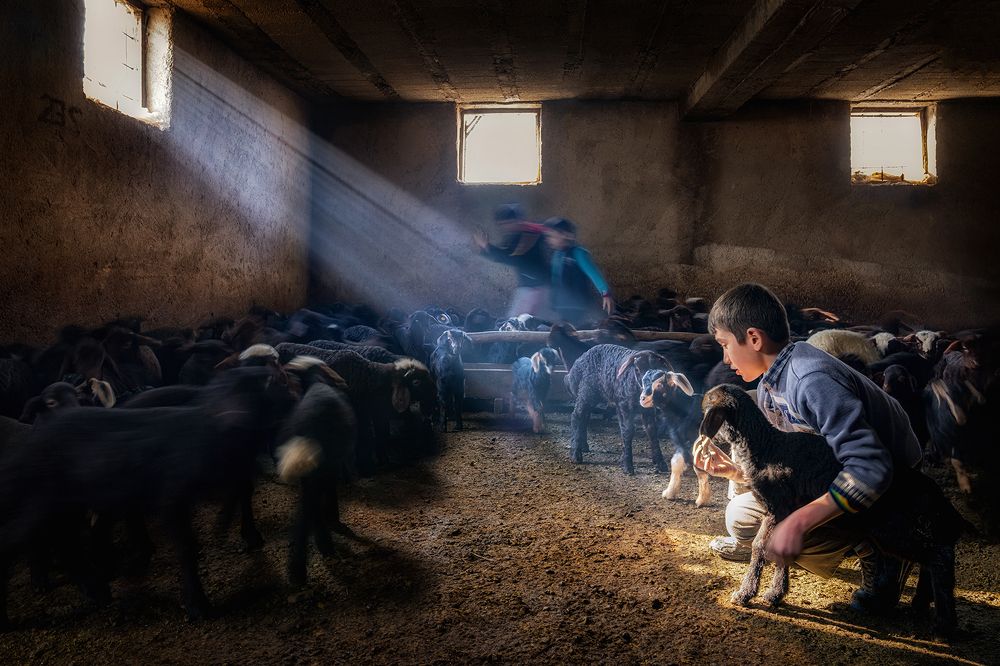 Photograph by FATIH GONUL