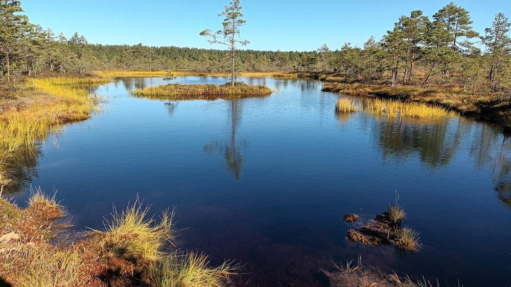 Photograph by Инна Демкив