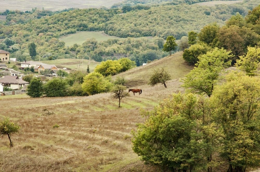Photograph by Екатерина Игоревна