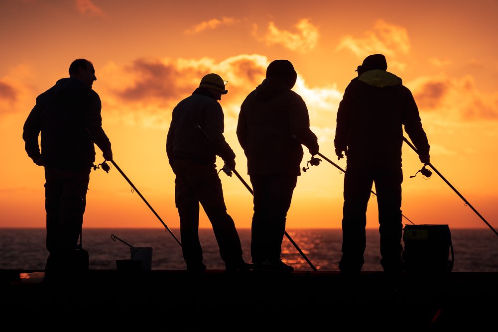 Photograph by Bruno Ribeiro