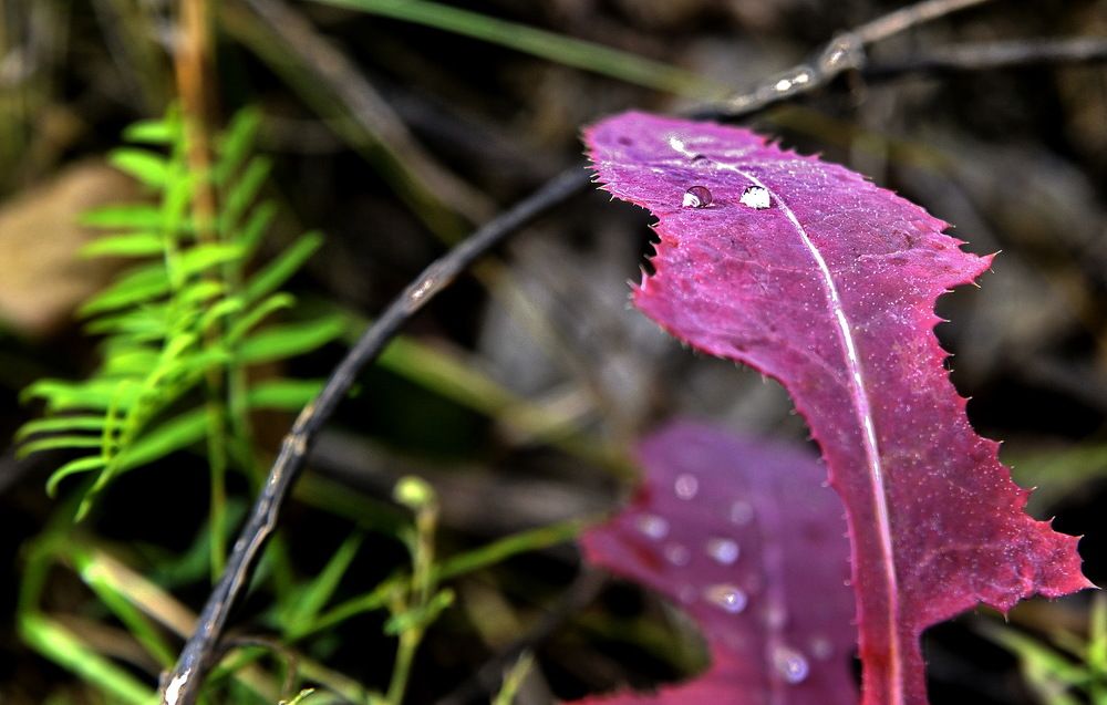 Photograph by Юрий Назыров