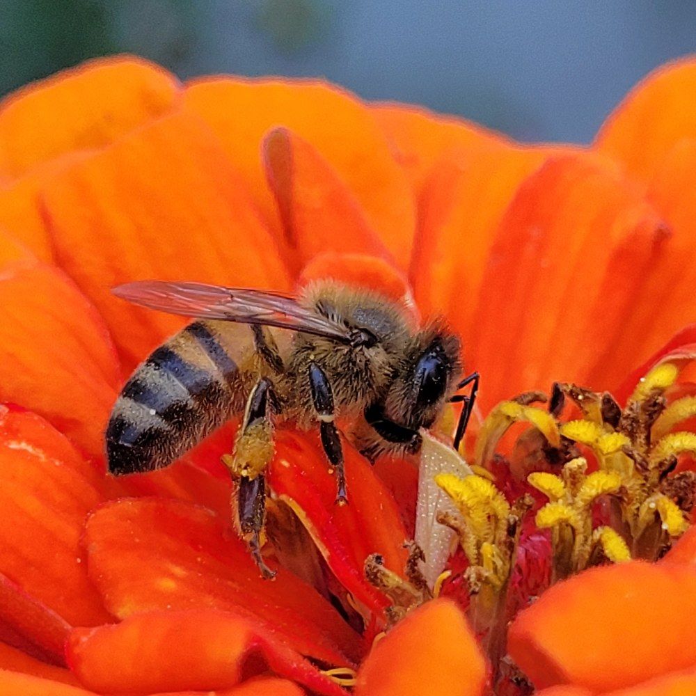 Photograph by Catherine