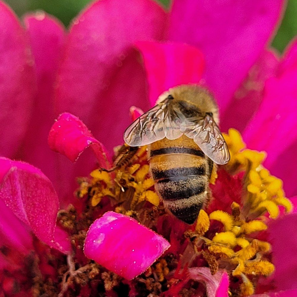 Photograph by Catherine