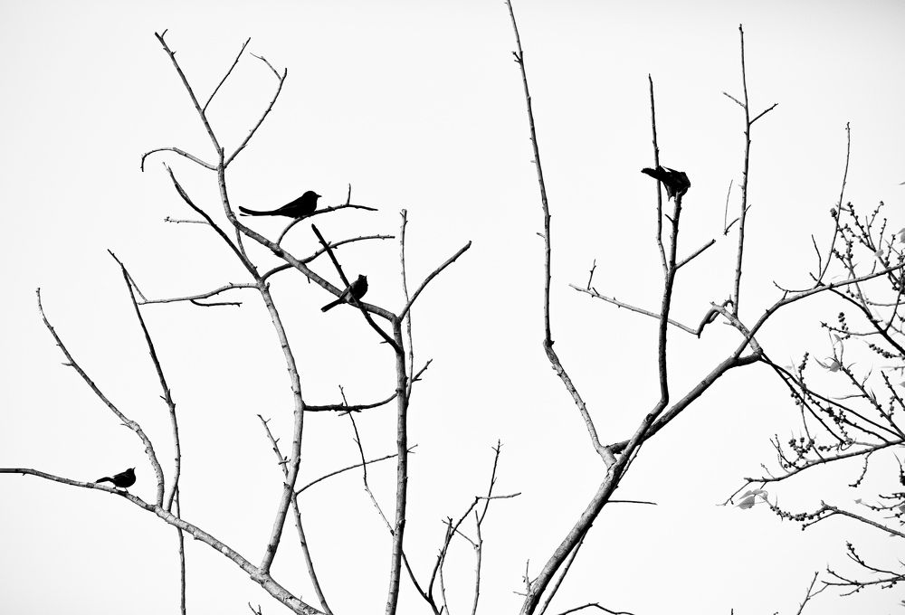 Photograph by Aritra Mukherjee
