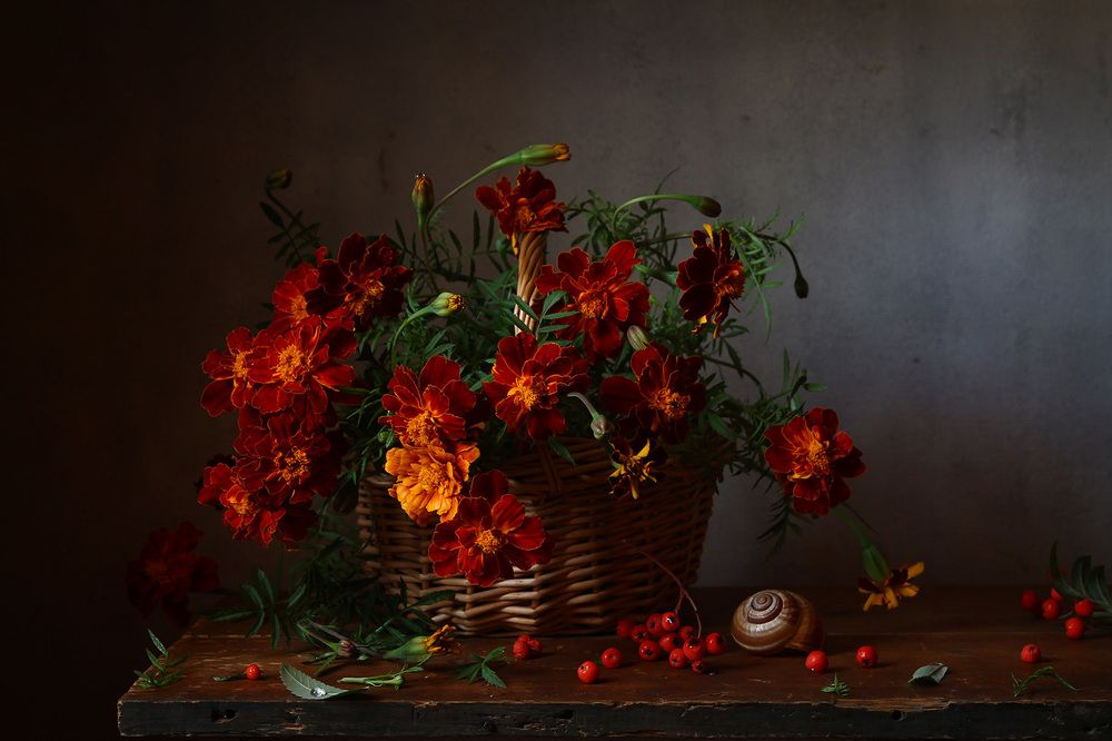 Photograph by Курочкина Диана