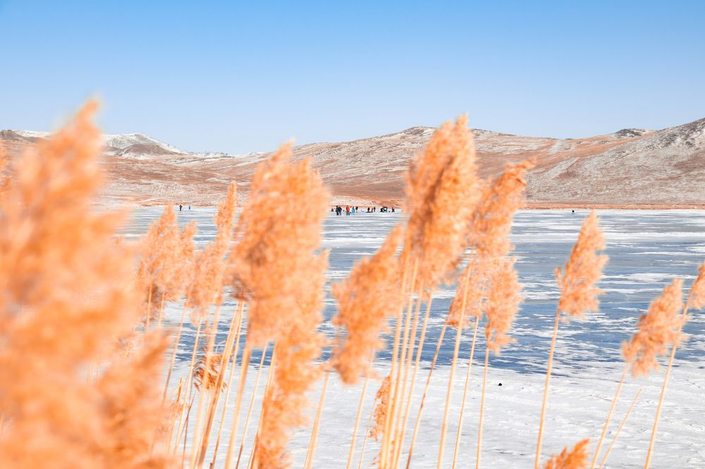 Photograph by Александр Савинов