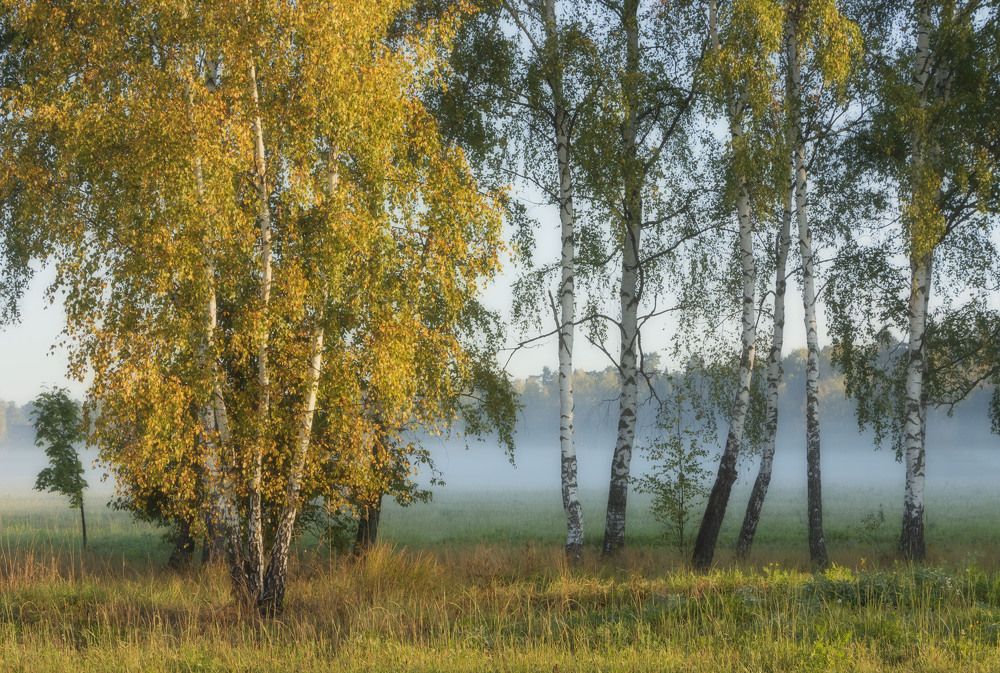 Фотография автора Olga Bonina