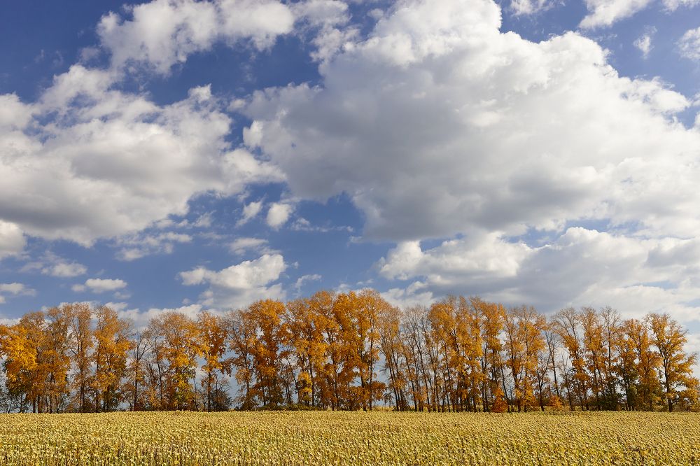 КОНЕЦ СЕНТЯБРЯ....