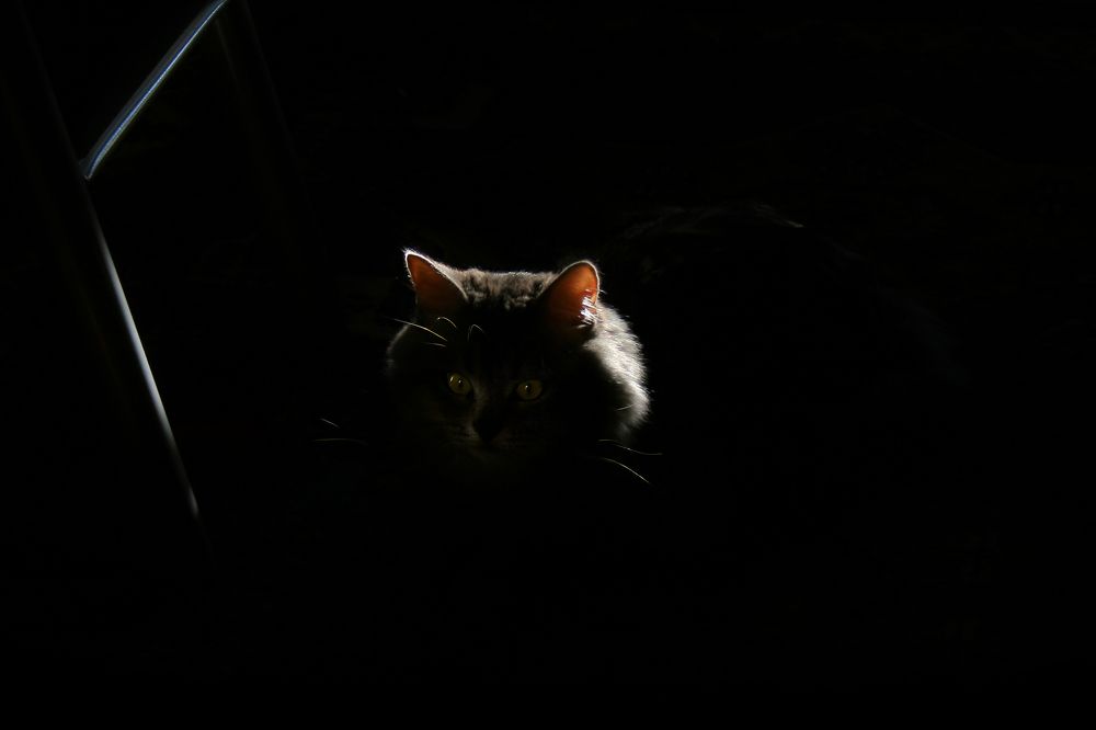 Photograph by Николай Осипенко