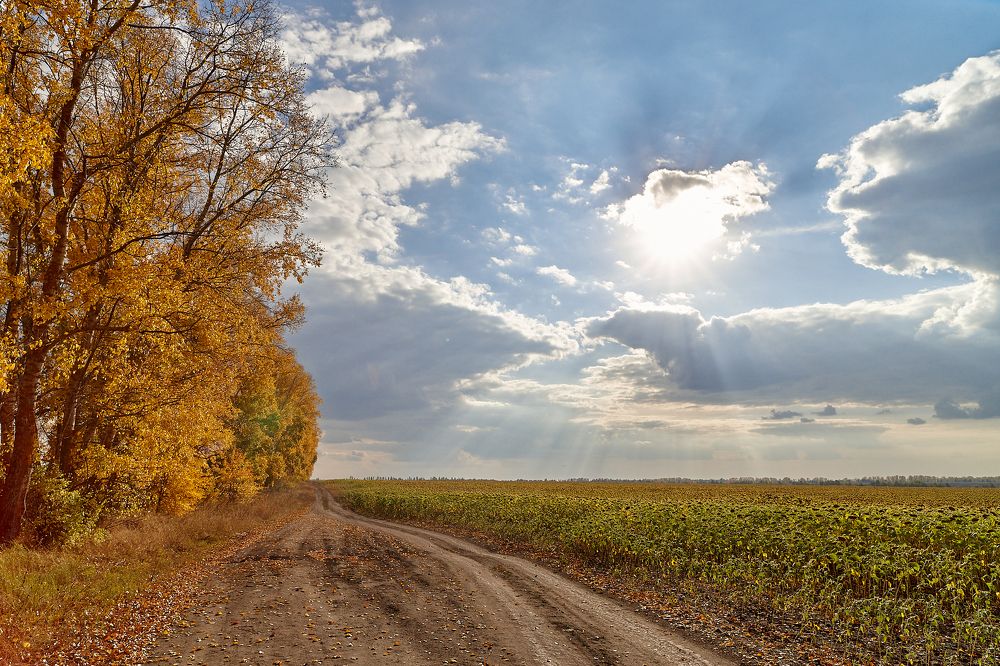 СОЛНЦЕ КЛОНИТСЯ К ЗАКАТУ...